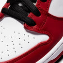 Nike Dunk Low Pro SB "Chicago"