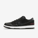 Nike SB Dunk Low "Wasted Youth"