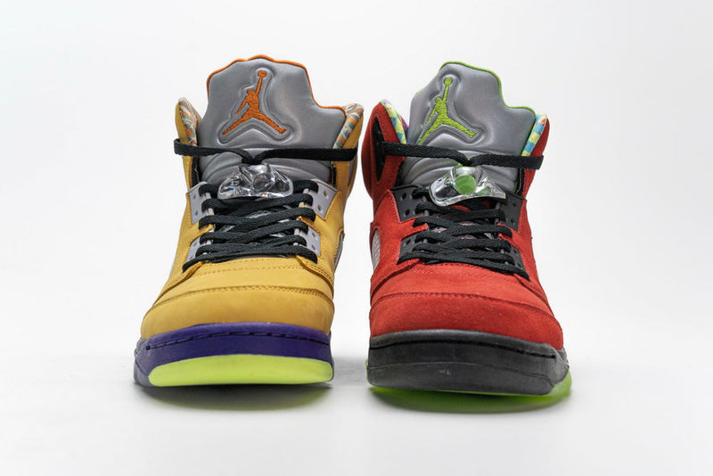 AIR JORDAN 5 RETRO SE WHAT THE