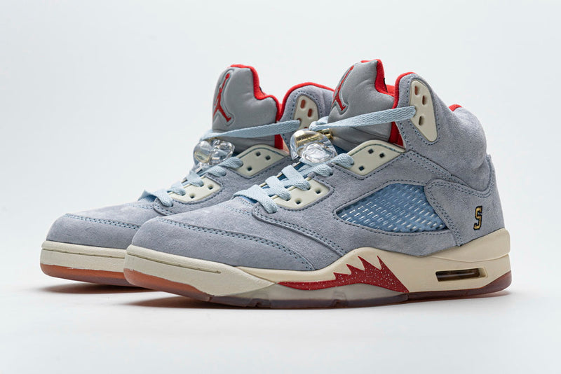 AIR JORDAN 5 RETRO ICE X TROPY ROOM