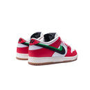 Nike SB Dunk Low "Frame Skate Habibi"