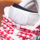 Nike SB Dunk Low "Frame Skate Habibi"