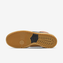 Nike SB Dunk High Pro "Spectrum"