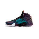 LEBRON XII WHATS THE