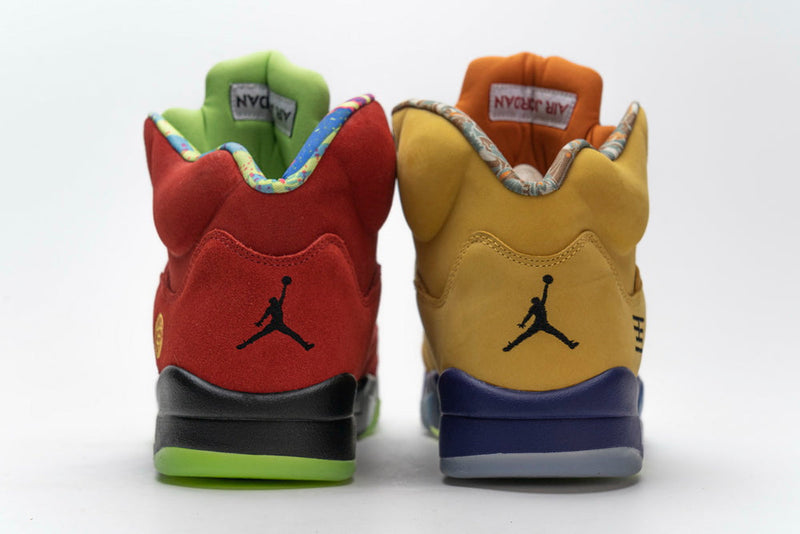 AIR JORDAN 5 RETRO SE WHAT THE