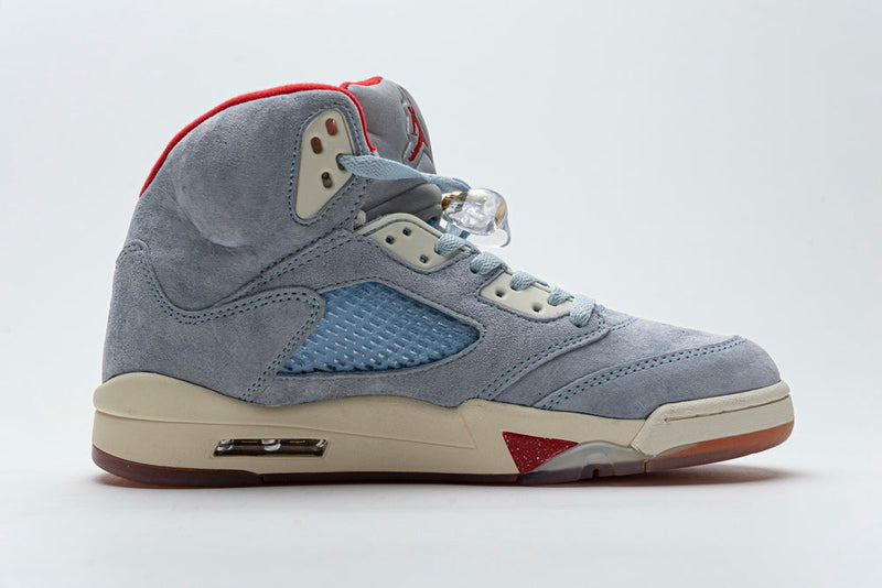 AIR JORDAN 5 RETRO ICE X TROPY ROOM