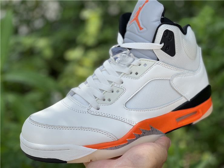 AIR JORDAN 5 SHATTERED BACKBOARD