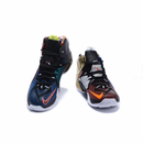 LEBRON XII WHATS THE