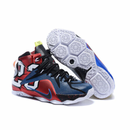 LEBRON XII WHATS THE